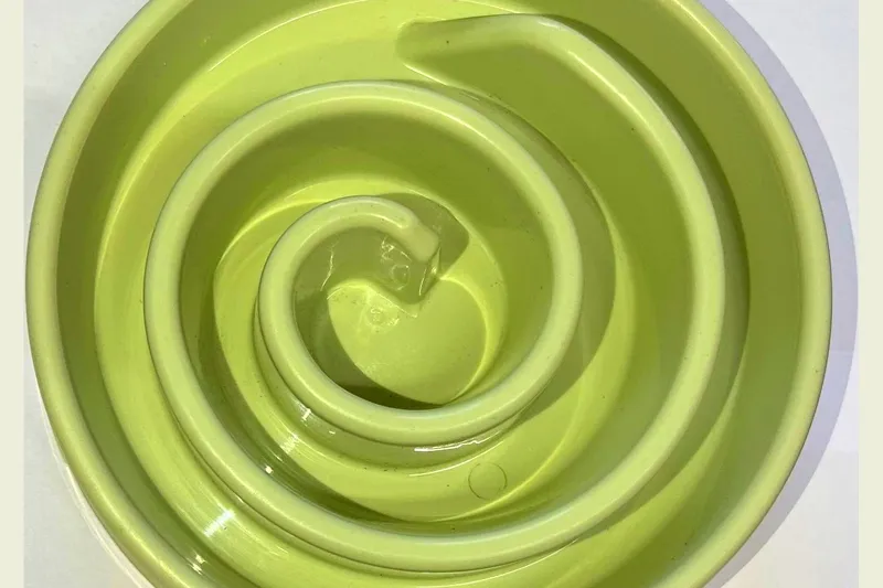 A green spiral slow feeder dog bowl seen from above