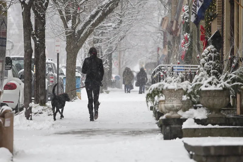 A person walking a black dog on a leash down a snowy street